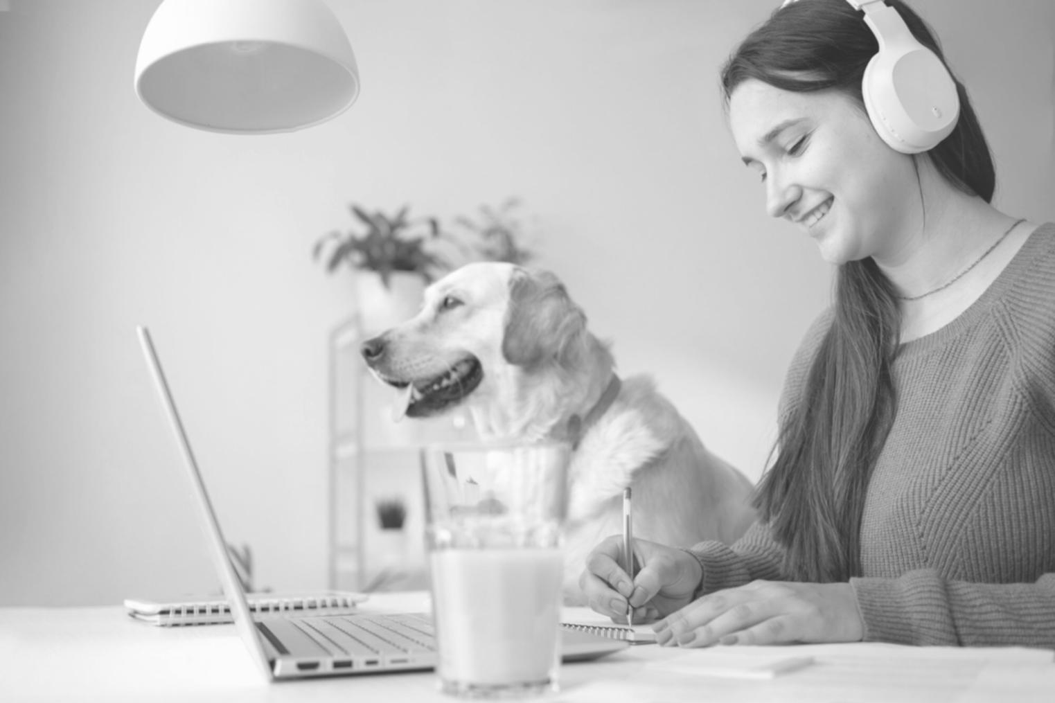 Environnement professionnel d'analyse financière